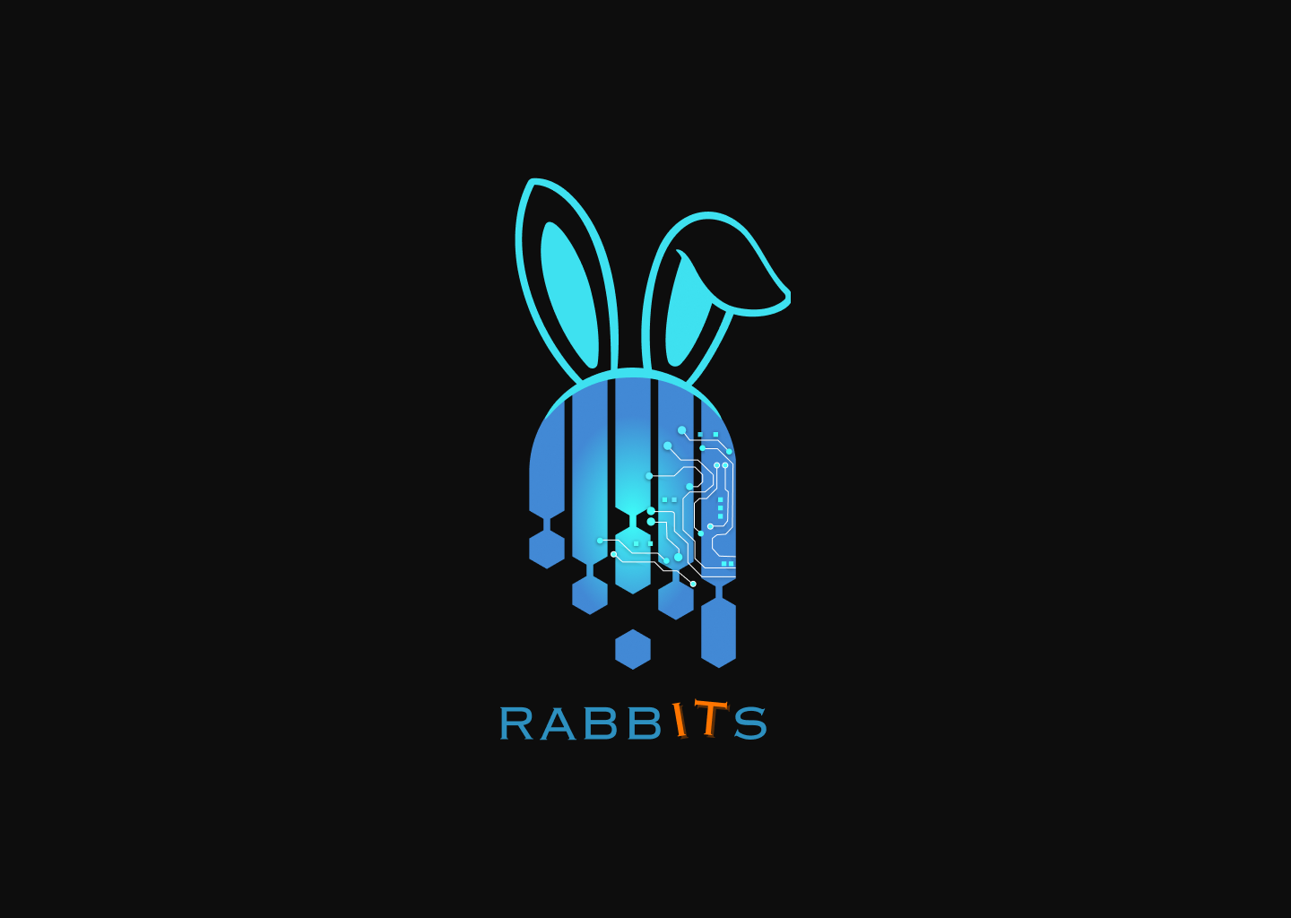 RabbitsIT logo